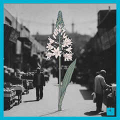 مجموعه آخرای اردیبهشت - اپیزود هنوز ۲۰۲۵ Still