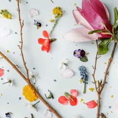 بعدك على بالى cover