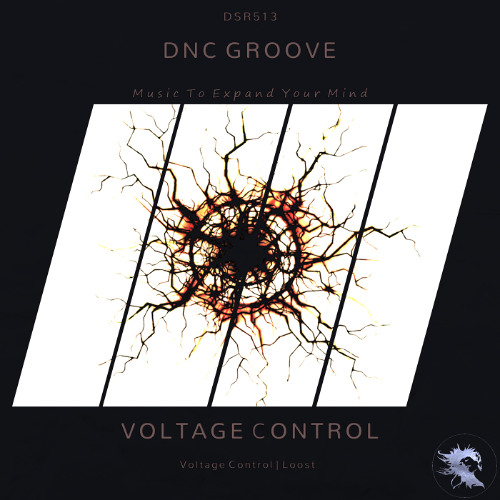 DSR513 | DnC Groove - Voltage Control (Original Mix)