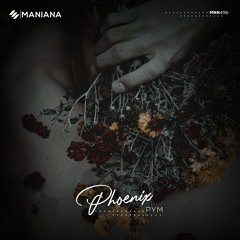 PYM - Phoenix (Original Mix)