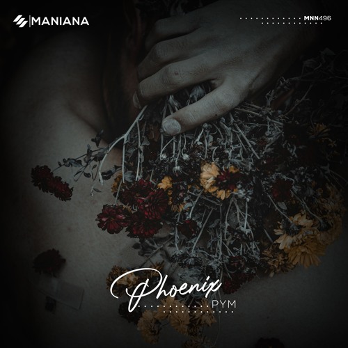 PYM - Phoenix (Original Mix)