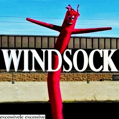 Windsock