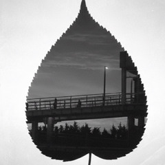 Güllerimi kuruttun (made with ai)