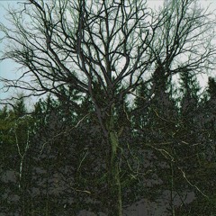 HOWIL HARDMAN - COLD FLUTE (MELANCHOLY'96)