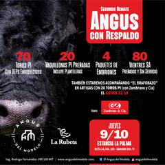 Ing. Agr. Rodrigo Fernández 081025