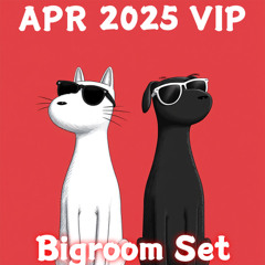 Bigroom Set 128-130🔥VOL.860(23New Pack)(Free Download)(Free Password)