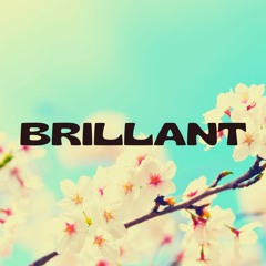 Brilliant-jeldon freestyle 2023