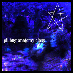 pillbug anatomy class