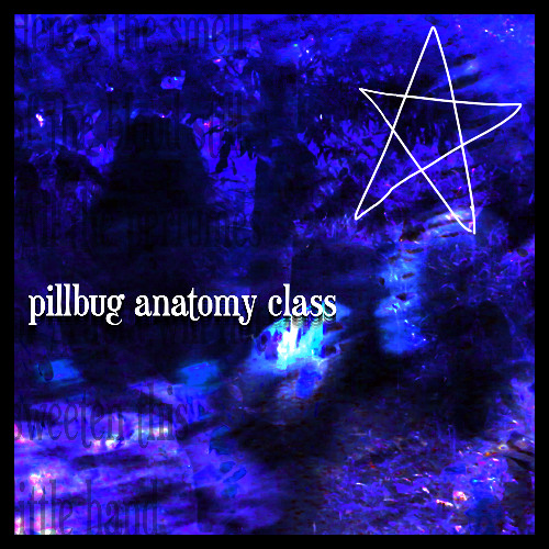 pillbug anatomy class