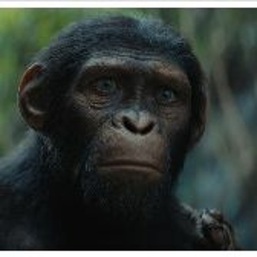 Stream Exclusive Kingdom of the of the Apes (2024) FullMovie