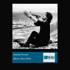 Laila Hamisha Laila (Live)