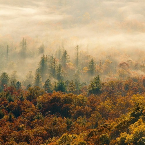 MoonCast: The Leaves That Did Not Find Their Way To The Ground (mixed by Moon In My Pocket)