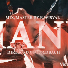 Petre Stefan - HANU (official video)