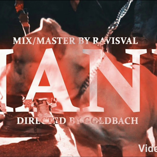 Petre Stefan - HANU (official video)