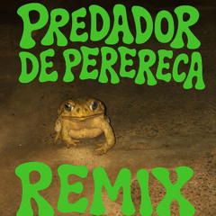 PREDADOR de PERERECA remix