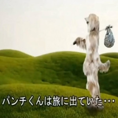 Self Destruct prod. Xoe