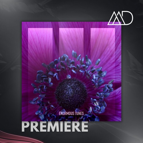 PREMIERE: Passenger 10 - Falling (Extended Mix) [Enormous Tunes]