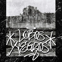 LN Νυχτοπερπατήματα X Meo