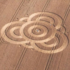 snail away (Drumstep)