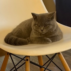 infinite backflip - returnal