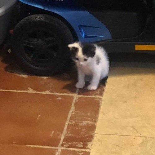 forgetabtme (p. bhertuy)