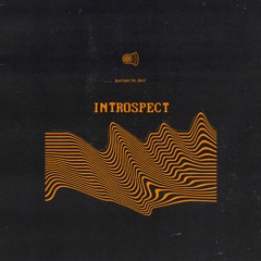 barnacle boi - Introspect EP