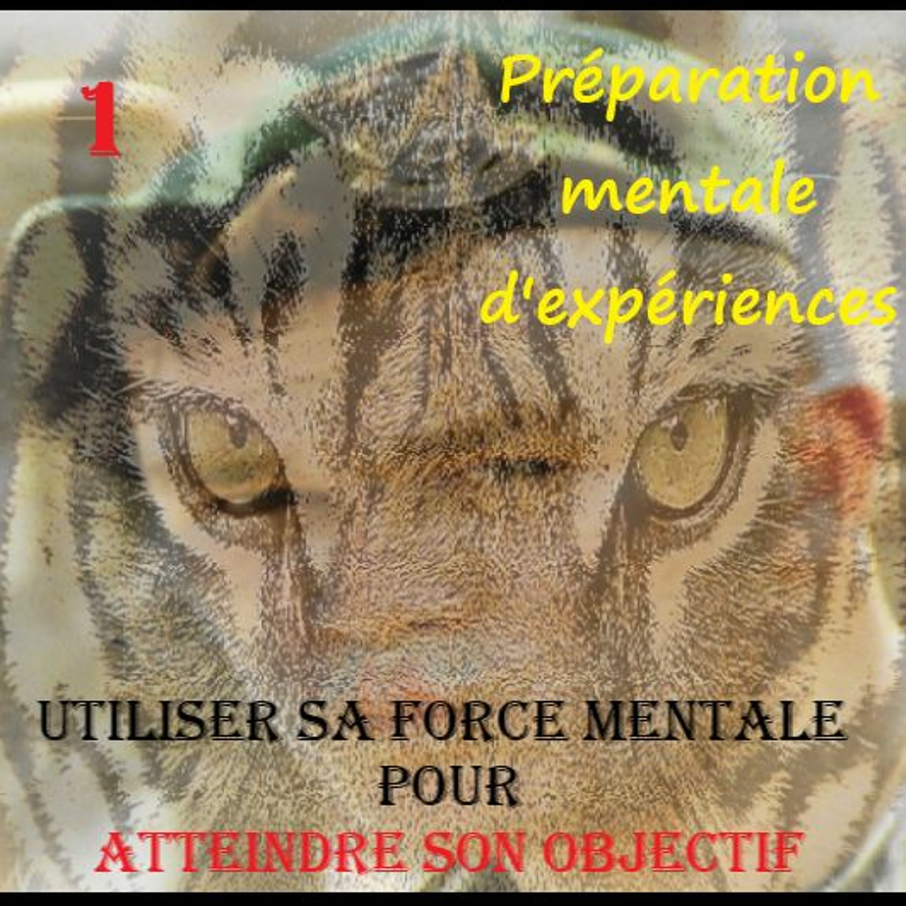 développement personnel, Processus métaphorique de transformation