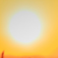 Strange - seven springs