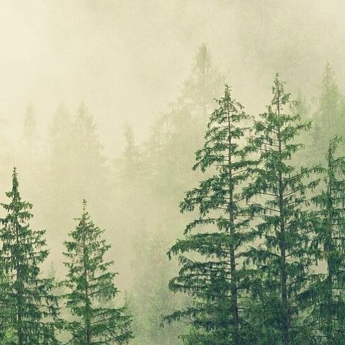 Nobles (prod. The Alchemist)