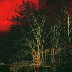 hotel dreams [ft. Toorrii]