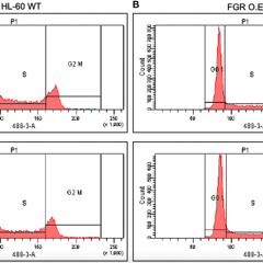 Single Protein Mimics Retinoic Acid Therapy to Help Leukemia Cells Mature