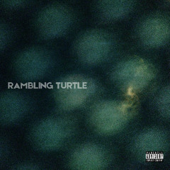 Rambling Turtle