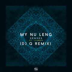 Senses (DJ Q Remix) [feat. Iyamah]