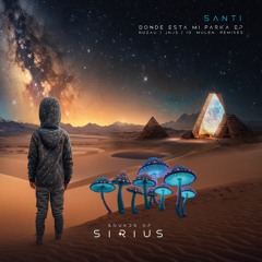 B1 SOSNZ008 - Santi - Donde Esta Mi Parka  (JNJS Remix)