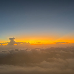 Her (The American Dawn) x Evicted (Nemzzz)