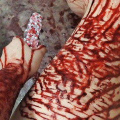 schizopilled playlist