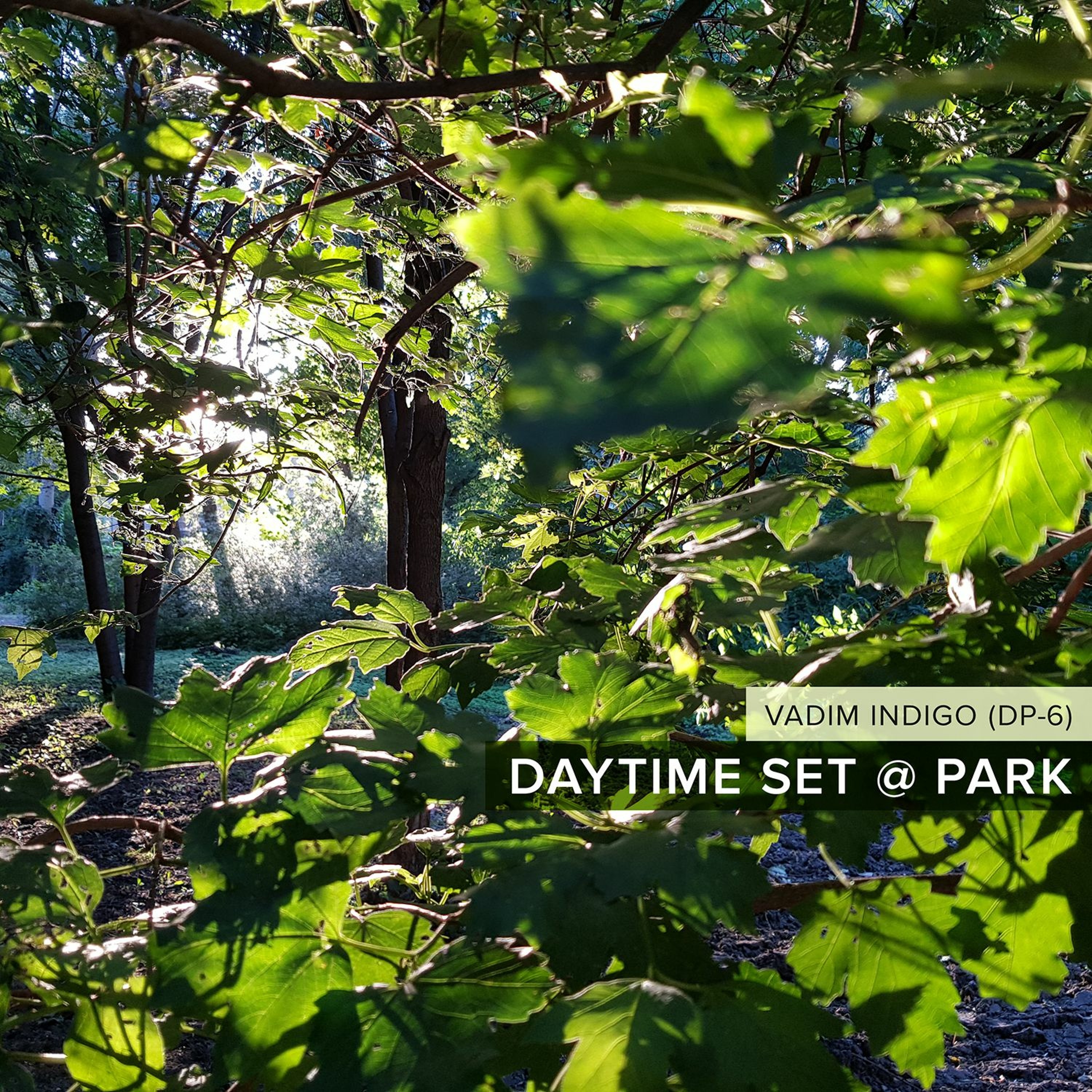 Vadim Indigo (DP-6) - Daytime Set @ Park (Live 2020-07-18) episode artwork