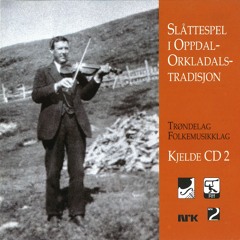 Knut Volløyhaug - Halling