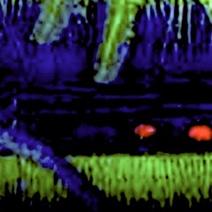 Tunescapes a place for wondering songs