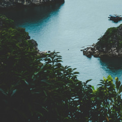 In Memory of WLFERAL pt. 2