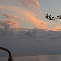 Tribute (free download)