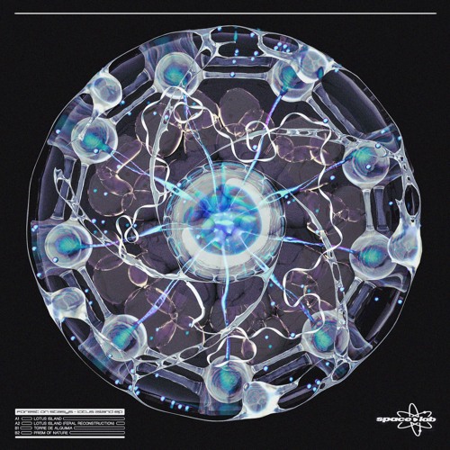 Forest On Stasys - Lotus Island EP (SL011)
