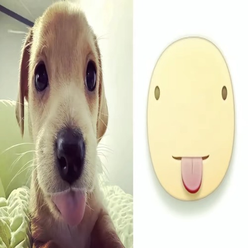 stuckonyou