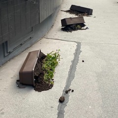 Radio Alhara - Lucia Kagramanyan 8th of April