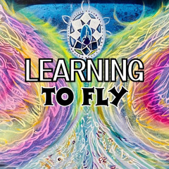 Learning to Fly