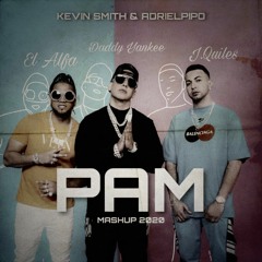 Justin Quiles, Daddy Yankee, El Alfa - PAM ( Kevin Smith & Adri El Pipo Mashup )