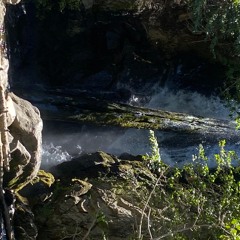 The Omaha Don - O.D.B. (Single)