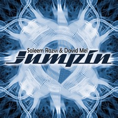 Saleem Razvi & David Mel - Jumpin