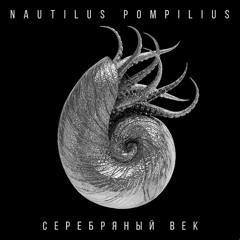 Во время дождя