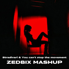 Stradivari & You Can't Stop The Movement (Zedbix Mashup) [FREE DL]